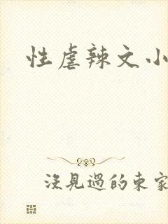 性虐辣文小说