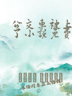 公交车被上高潮了小说免费阅读