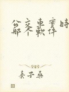 公交车实时查询哪个软件