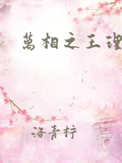万相之王理李洛