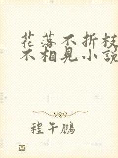 花落不折枝你我不相见小说免费阅读