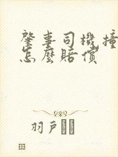 肇事司机撞死人怎么赔偿