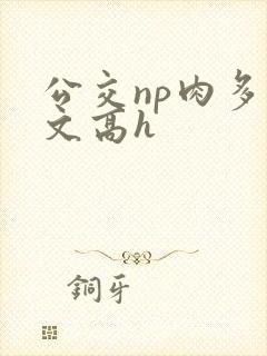 公交np肉多荤文高h