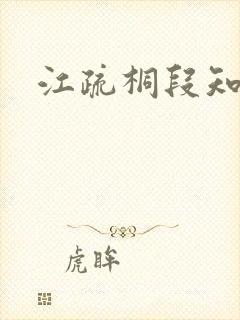 江疏桐段知许