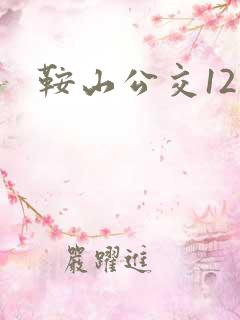 鞍山公交12路