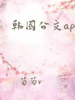 韩国公交app