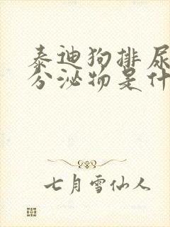 泰迪狗排尿后有分泌物是什么原因