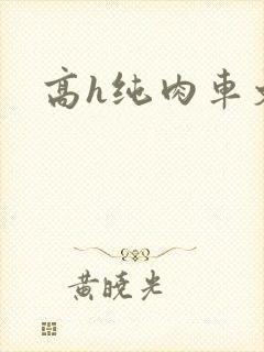 高h纯肉车文