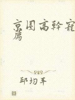 京圈高干宠文推荐