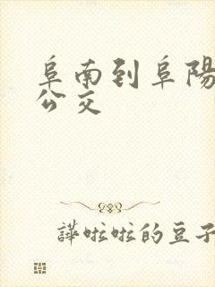 阜南到阜阳城际公交
