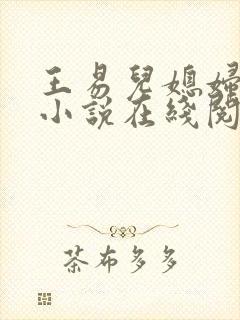 王易儿媳妇婉艳小说在线阅读