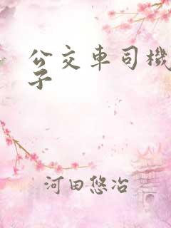 公交车司机的妻子