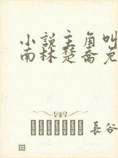 小说主角叫李向南林楚乔免费阅读