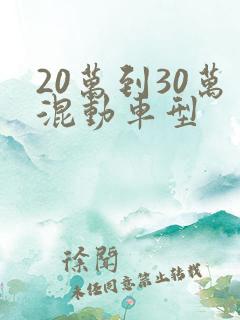 20万到30万混动车型