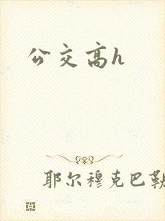 公交高h