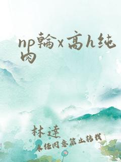 np轮x高h纯肉