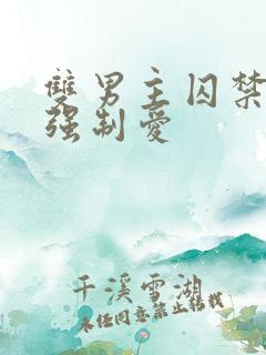 双男主囚禁调教强制爱