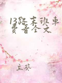 13路末班车免费看全文