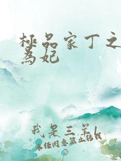 极品家丁之侧母为妃