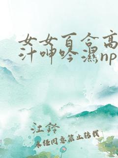 女女百合高h喷汁呻吟湿np