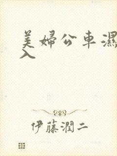 美妇公车湿润进入