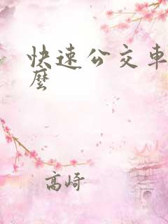 快速公交车叫什么