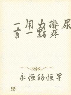 一用力排尿睾丸有一点疼 一用力排尿睾丸有一点疼