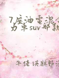 7座油电混合动力车suv哪款最好