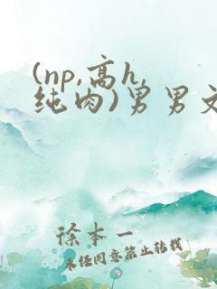 (np,高h,纯肉)男男文