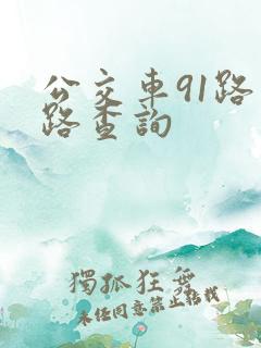 公交车91路线路查询