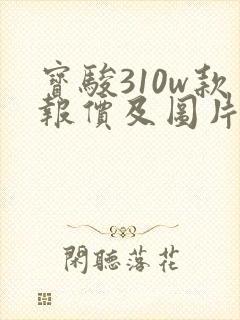 宝骏310w款报价及图片 宝骏310w款报价及图片