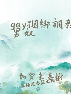 gay捆绑调教男奴