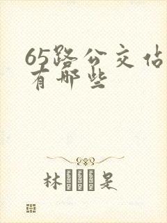 65路公交站点有哪些