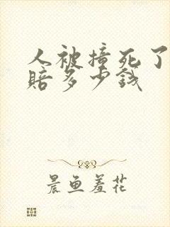 人被撞死了能获赔多少钱