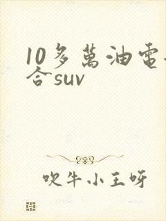 10多万油电混合suv