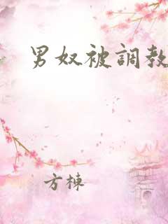 男奴被调教