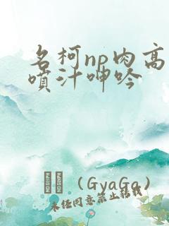 名柯np肉高h喷汁呻吟