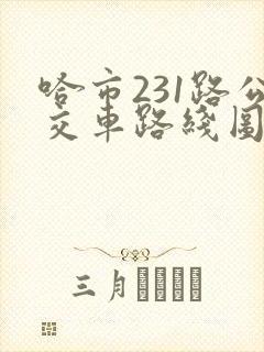 哈市231路公交车路线图