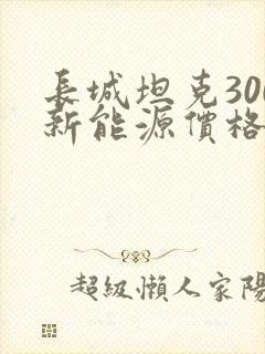 长城坦克300新能源价格