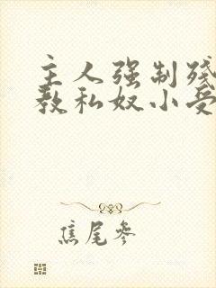 主人强制残忍调教私奴小受文