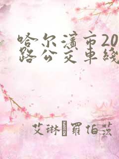 哈尔滨市206路公交车线路图