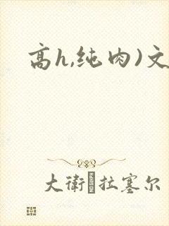 高h,纯肉)文