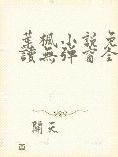 叶枫小说免费阅读无弹窗全文 叶枫小说免费阅读无弹窗全文