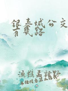 银泰城公交车都有几路 银泰城公交车都有几路