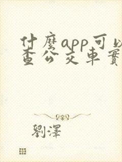 什么app可以查公交车实时位置 什么app可以查公交车实时位置