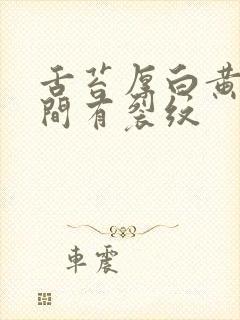 舌苔厚白黄腻中间有裂纹