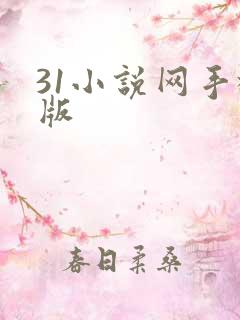 31小说网手机版