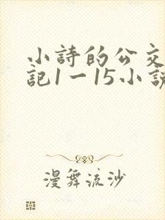 小诗的公交车日记1一15小说