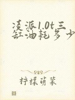 凌派1.0t三缸油耗多少