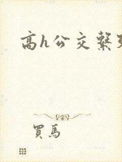 高h公交系列